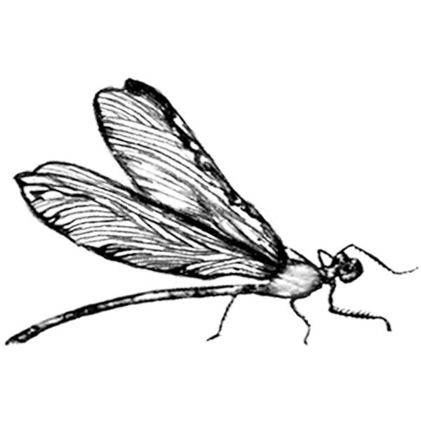 #2071 - Bug - Nature